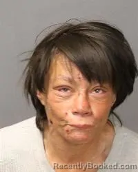 Mugshot of Juliana Linda Garcia booked in Bernalillo County, New Mexico on March 19, 2026