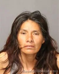 Mugshot of Cassandra Calavaza booked in Bernalillo County, New Mexico on March 19, 2026