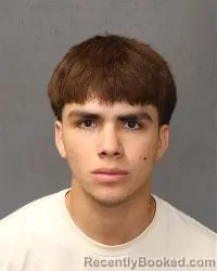 Mugshot of Luis Hernandez-Guzman booked in Bernalillo County, New Mexico on March 20, 2026