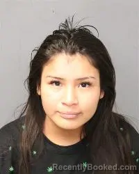 Mugshot of Angel Lee Purley booked in Bernalillo County, New Mexico on March 24, 2026