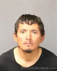 Mugshot of Cody Buck booked in Bernalillo County, New Mexico on March 24, 2026