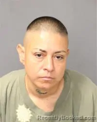 Mugshot of Angelica Maria Lovato booked in Bernalillo County, New Mexico on March 25, 2026