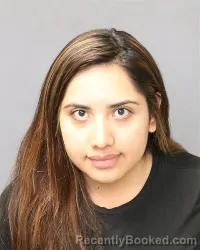 Mugshot of Cristal Gonzalez Hernandez booked in Bernalillo County, New Mexico on March 25, 2026