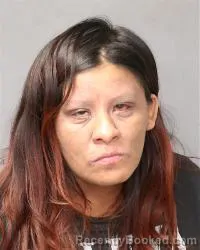 Mugshot of Daniela Mejia-Ramirez booked in Bernalillo County, New Mexico on March 26, 2026