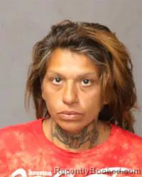 Mugshot of Vanessa Valerie Beaty booked in Bernalillo County, New Mexico on March 26, 2026