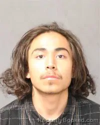 Mugshot of Justin Castillo