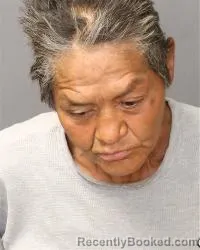 Mugshot of Rubia Elizabeth Nelson booked in Bernalillo County, New Mexico on March 28, 2026