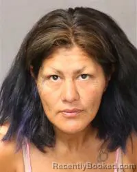 Mugshot of Sofia Garcia booked in Bernalillo County, New Mexico on March 28, 2026