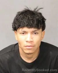 Mugshot of Wil Pacheco booked in Bernalillo County, New Mexico on March 28, 2026