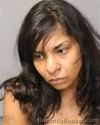 Mugshot of Pamela Frances Snagg booked in Bernalillo County, New Mexico on April 1, 2026