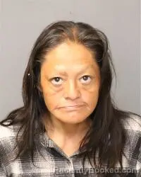 Mugshot of Stacy Allen Gaisthia booked in Bernalillo County, New Mexico on April 2, 2026