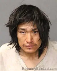 Mugshot of Cody Lane Harding booked in Bernalillo County, New Mexico on April 2, 2026