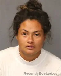 Mugshot of Yamila A Cala-Campos booked in Bernalillo County, New Mexico on April 2, 2026