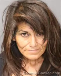 Mugshot of Kim Anna Damon booked in Bernalillo County, New Mexico on April 2, 2026