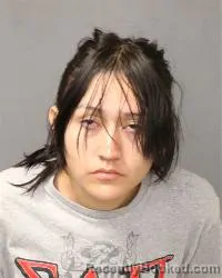 Mugshot of Guadalupe Cano booked in Bernalillo County, New Mexico on April 2, 2026