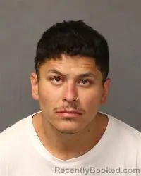 Mugshot of Domenique Dean Sedillo booked in Bernalillo County, New Mexico on April 18, 2026