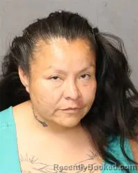 Mugshot of Christine Anne Harvey booked in Bernalillo County, New Mexico on April 23, 2026