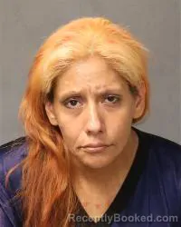 Mugshot of Nicole M Smallcanyon booked in Bernalillo County, New Mexico on April 23, 2026