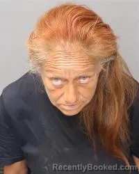 Mugshot of Heidi Romero booked in Bernalillo County, New Mexico on April 23, 2026