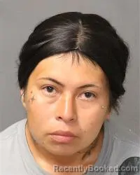 Mugshot of Katherine Melvina Toledo booked in Bernalillo County, New Mexico on April 25, 2026