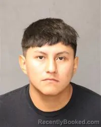 Mugshot of Dominic Brown booked in Bernalillo County, New Mexico on April 27, 2026