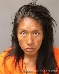 Mugshot of Stephanie M Gunhammer booked in Bernalillo County, New Mexico on April 27, 2026