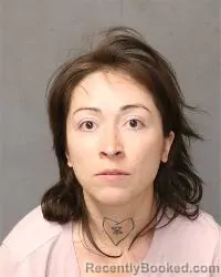Mugshot of Alexandria Colleen Preciado booked in Bernalillo County, New Mexico on April 29, 2026