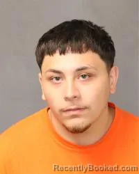 Mugshot of Francisco Rodriguez booked in Bernalillo County, New Mexico on April 29, 2026