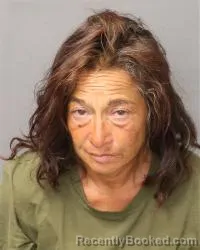 Mugshot of Bernadette Fay booked in Bernalillo County, New Mexico on April 29, 2026