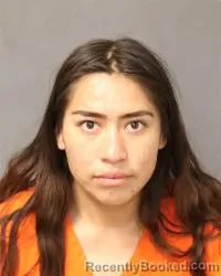 Mugshot of Brianna Tsosie booked in Bernalillo County, New Mexico on April 30, 2026