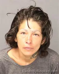 Mugshot of Felicia Renee Vasquez booked in Bernalillo County, New Mexico on April 30, 2026