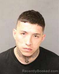 Mugshot of Emilio A Martinez booked in Bernalillo County, New Mexico on May 1, 2026