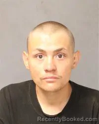 Mugshot of Anthony Christanelli booked in Bernalillo County, New Mexico on May 1, 2026