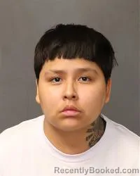 Mugshot of Danica Heaven Bahe booked in Bernalillo County, New Mexico on May 2, 2026