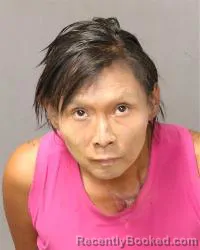 Mugshot of Dedra Dawes booked in Bernalillo County, New Mexico on May 3, 2026