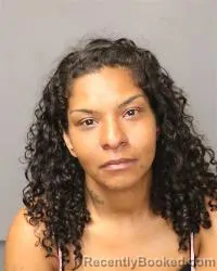 Mugshot of Pamela Frances Snagg booked in Bernalillo County, New Mexico on May 4, 2026