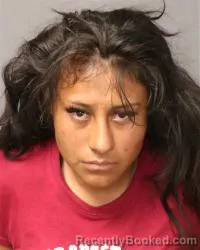 Mugshot of Kimberly Marina Molina booked in Bernalillo County, New Mexico on May 6, 2026