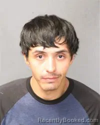 Mugshot of Dennis Andrew Fernandez booked in Bernalillo County, New Mexico on May 8, 2026