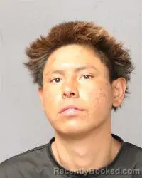 Mugshot of Parker Lynn Witt booked in Bernalillo County, New Mexico on May 12, 2026