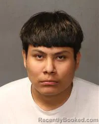 Mugshot of Elijah Stoney Laine booked in Bernalillo County, New Mexico on May 12, 2026