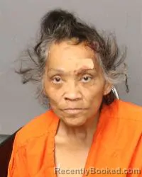 Mugshot of Vanessa Carol Duncan booked in Bernalillo County, New Mexico on May 15, 2026