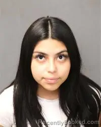 Mugshot of Alexa Ibarra booked in Bernalillo County, New Mexico on May 16, 2026