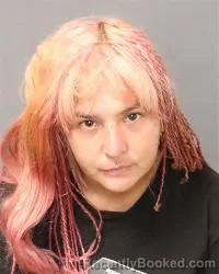 Mugshot of Eliana Renea Andrade booked in Bernalillo County, New Mexico on May 17, 2026