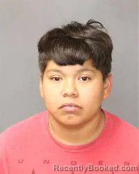 Mugshot of Adrianna Cleveland booked in Bernalillo County, New Mexico on May 17, 2026