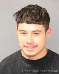 Mugshot of Dalvino Joseph Majewski booked in Bernalillo County, New Mexico on May 18, 2026