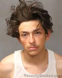 Mugshot of Dominic Lee Pilkinton booked in Bernalillo County, New Mexico on May 19, 2026