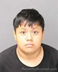 Mugshot of Carolina Williams