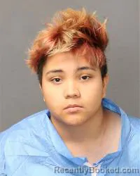 Mugshot of Theresa Marquez