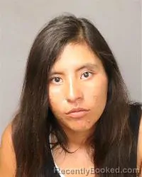Mugshot of Phrankkie Elation D'amour Pawlowski booked in Bernalillo County, New Mexico on June 19, 2026