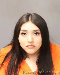 Mugshot of Marissa Chanel Tsiosdia booked in Bernalillo County, New Mexico on June 20, 2026
